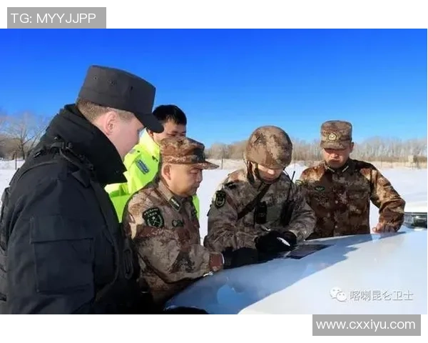 南京排球队区域防守创新探索与战术变革的深度分析