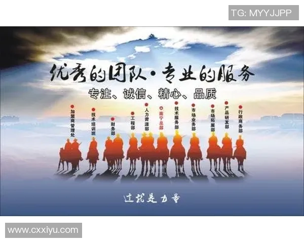 南京飞盘队配合表现数据分析揭示团队协作与战术执行的关键因素