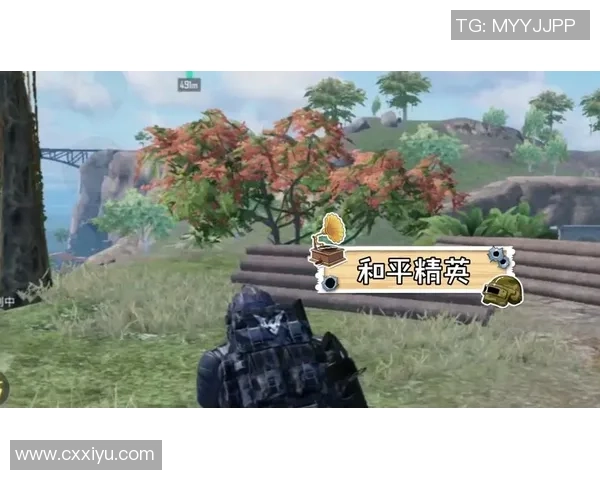 和平精英战术风波LNG团队策略引发玩家热议与讨论